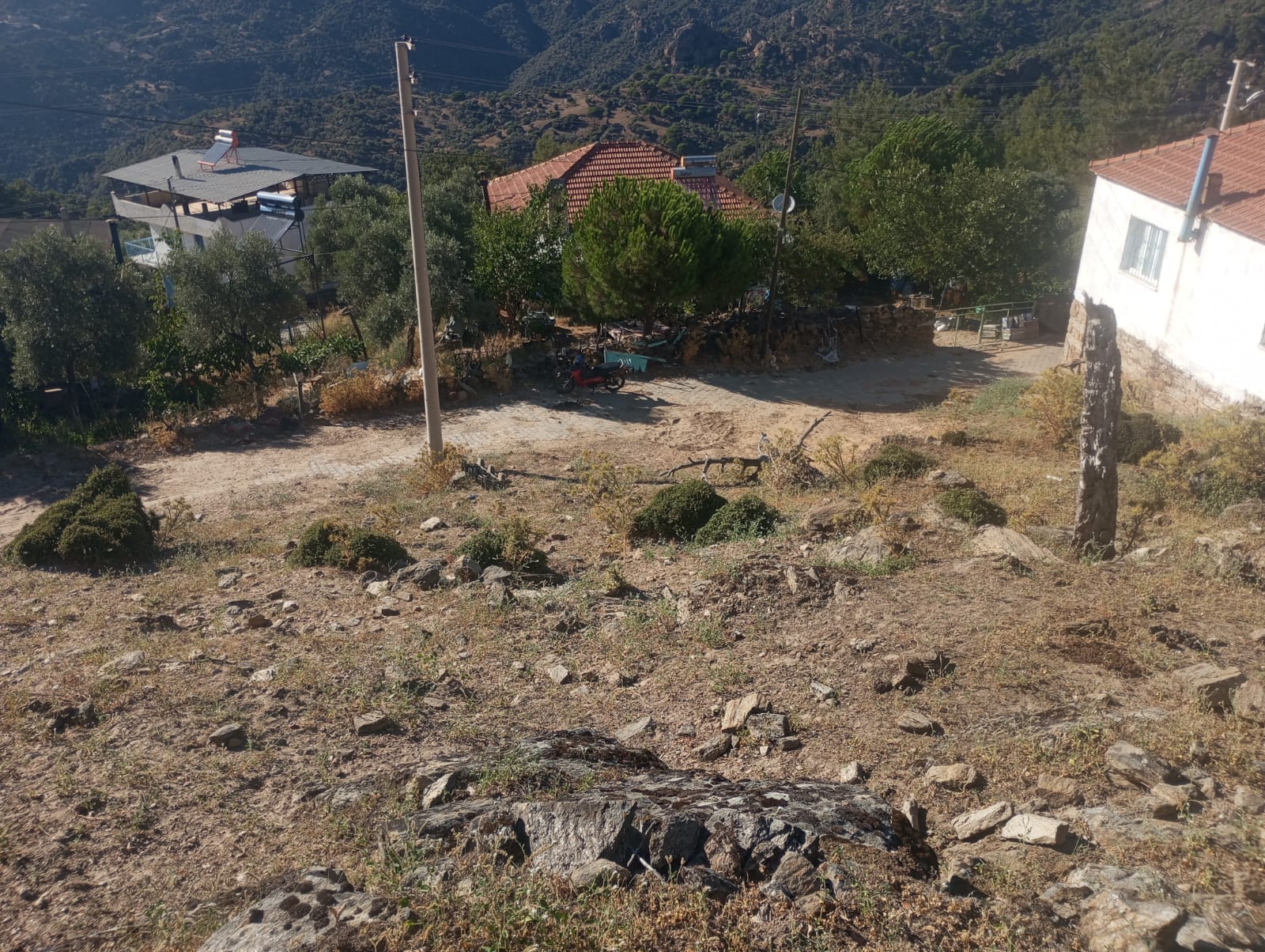 KAYGILLI KÖYÜ SÖKEDE SATILIK BAHÇE